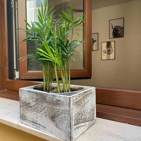 Appartement Bermudo III Vut-Le-784 à León Extérieur photo