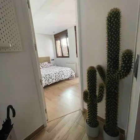 Appartement Bermudo III Vut-Le-784 à León Extérieur photo