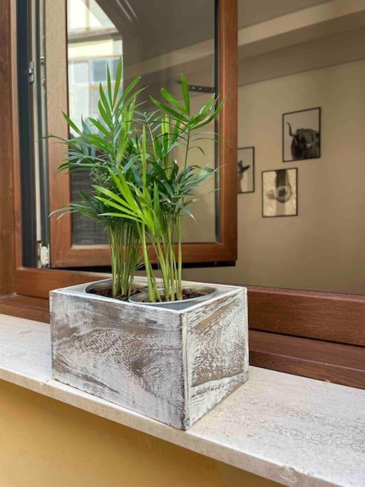 Apartment Bermudo Iii Vut-le-784